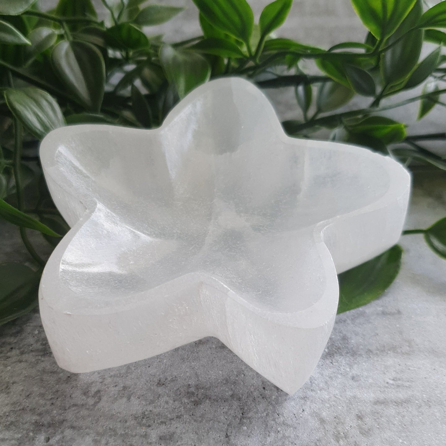 Selenite Flower Bowls