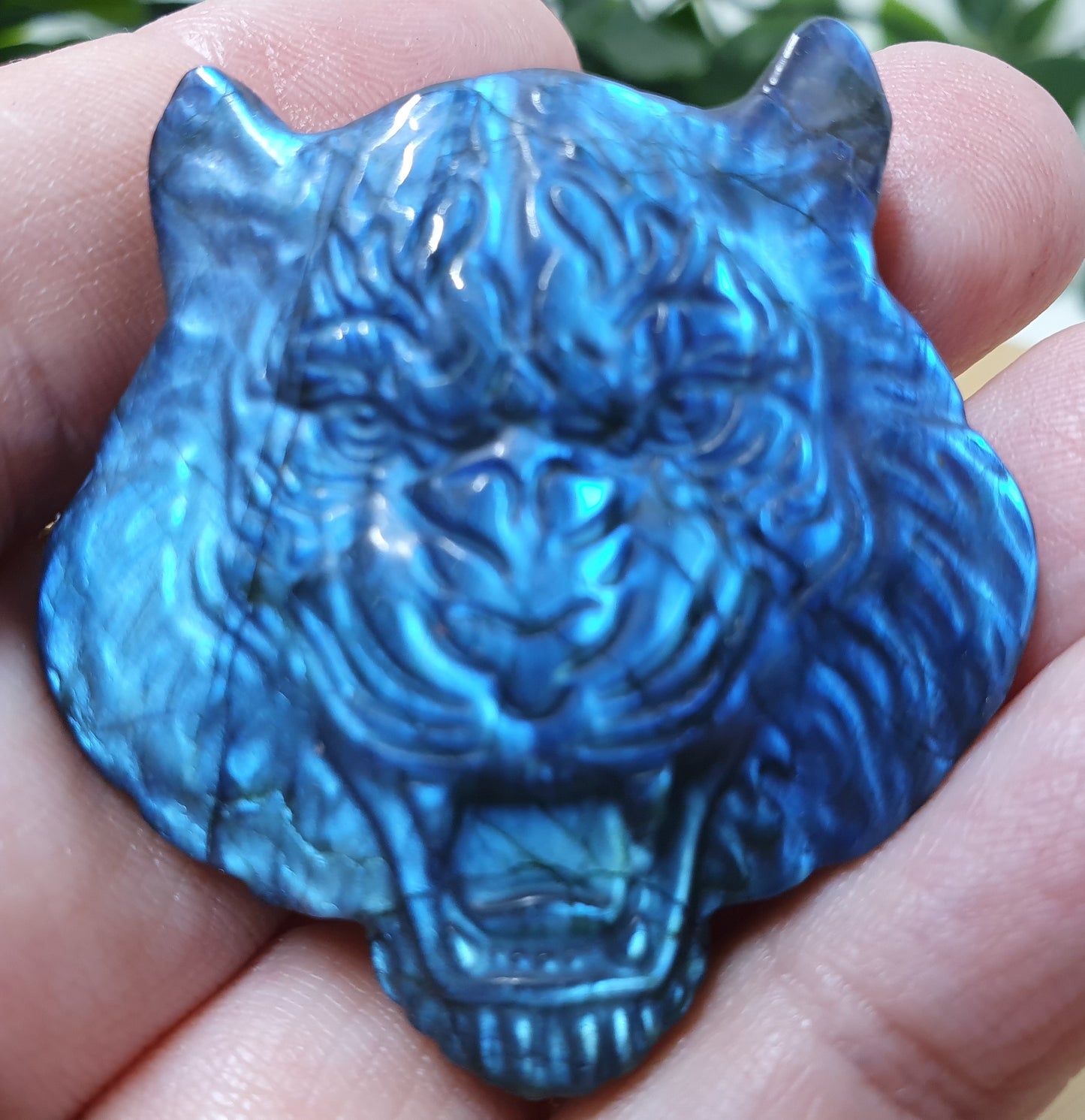 Labradorite Tigers Head Carving