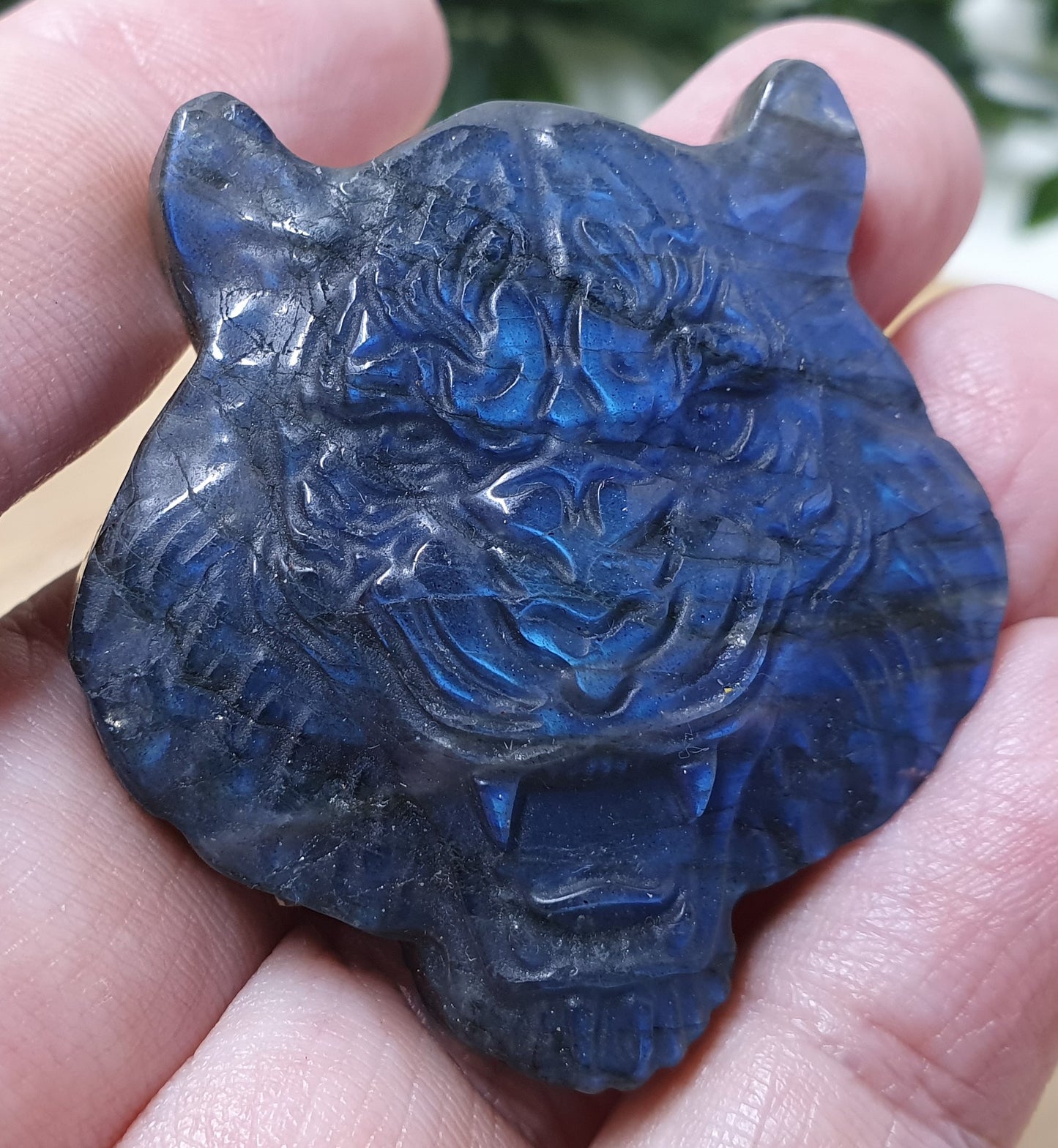 Labradorite Tigers Head Carving