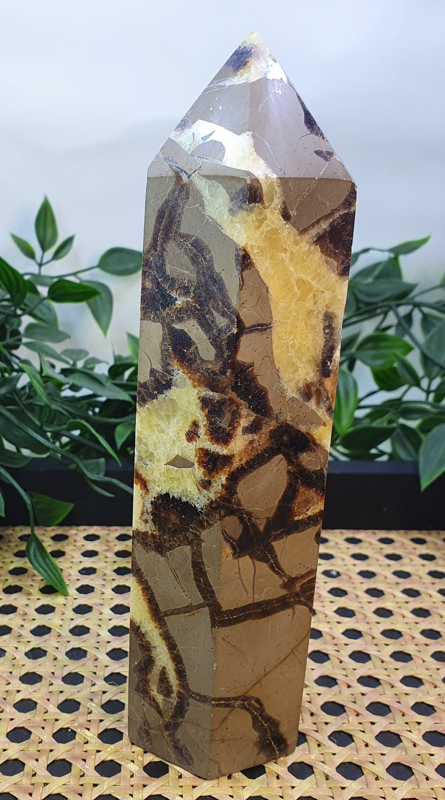 Septarian Tower #1