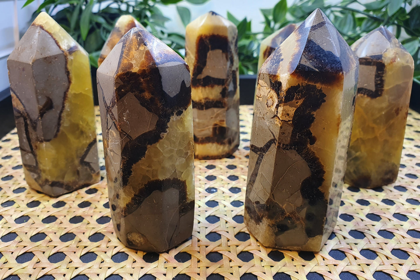 Septarian Points #1