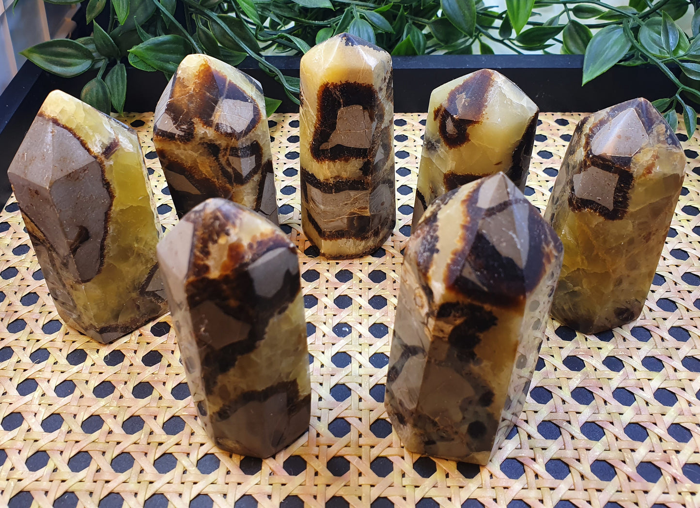 Septarian Points #1