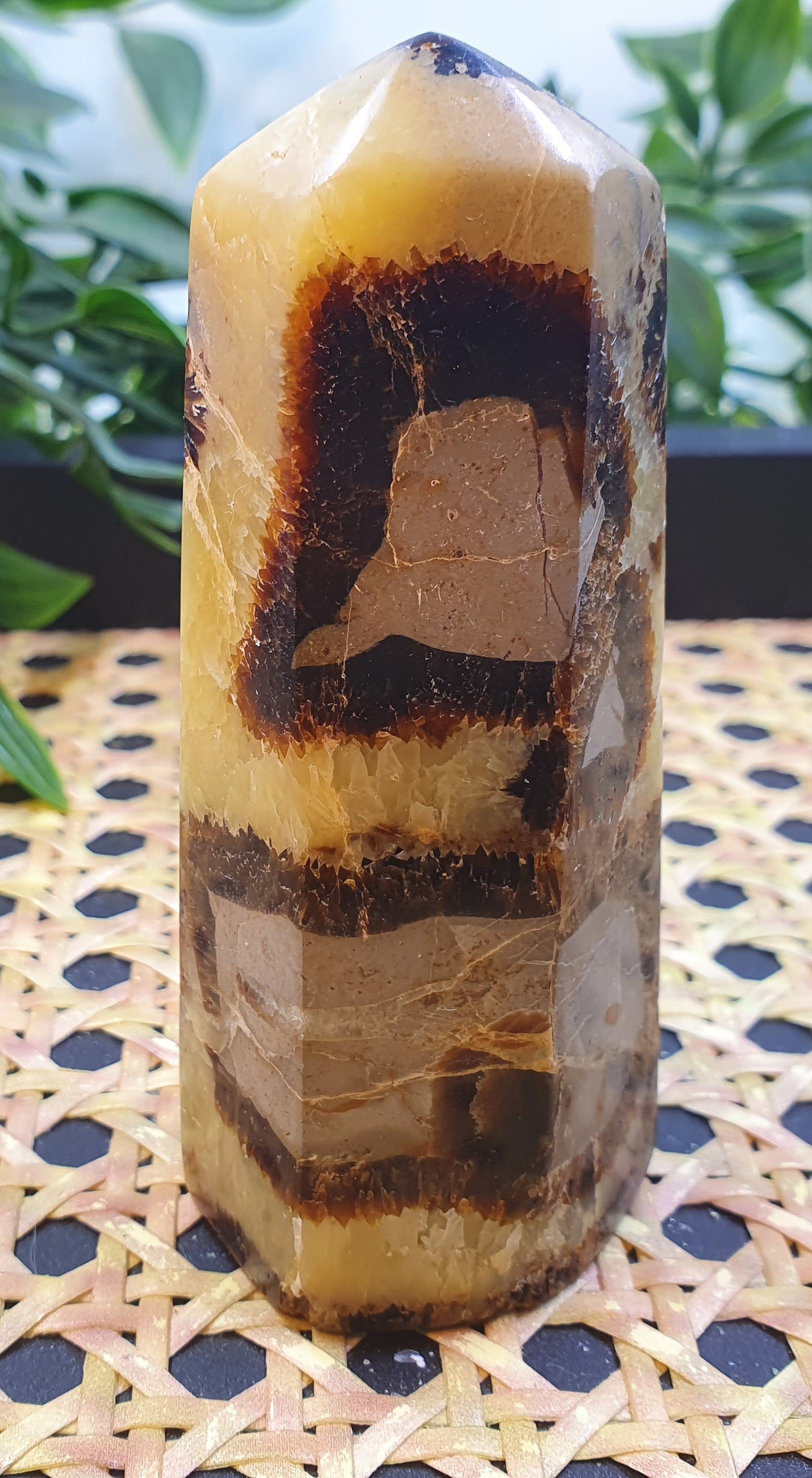 Septarian Points #1