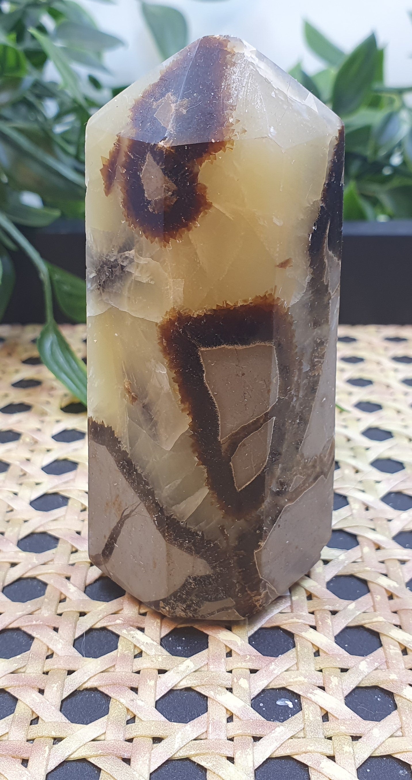 Septarian Points #1