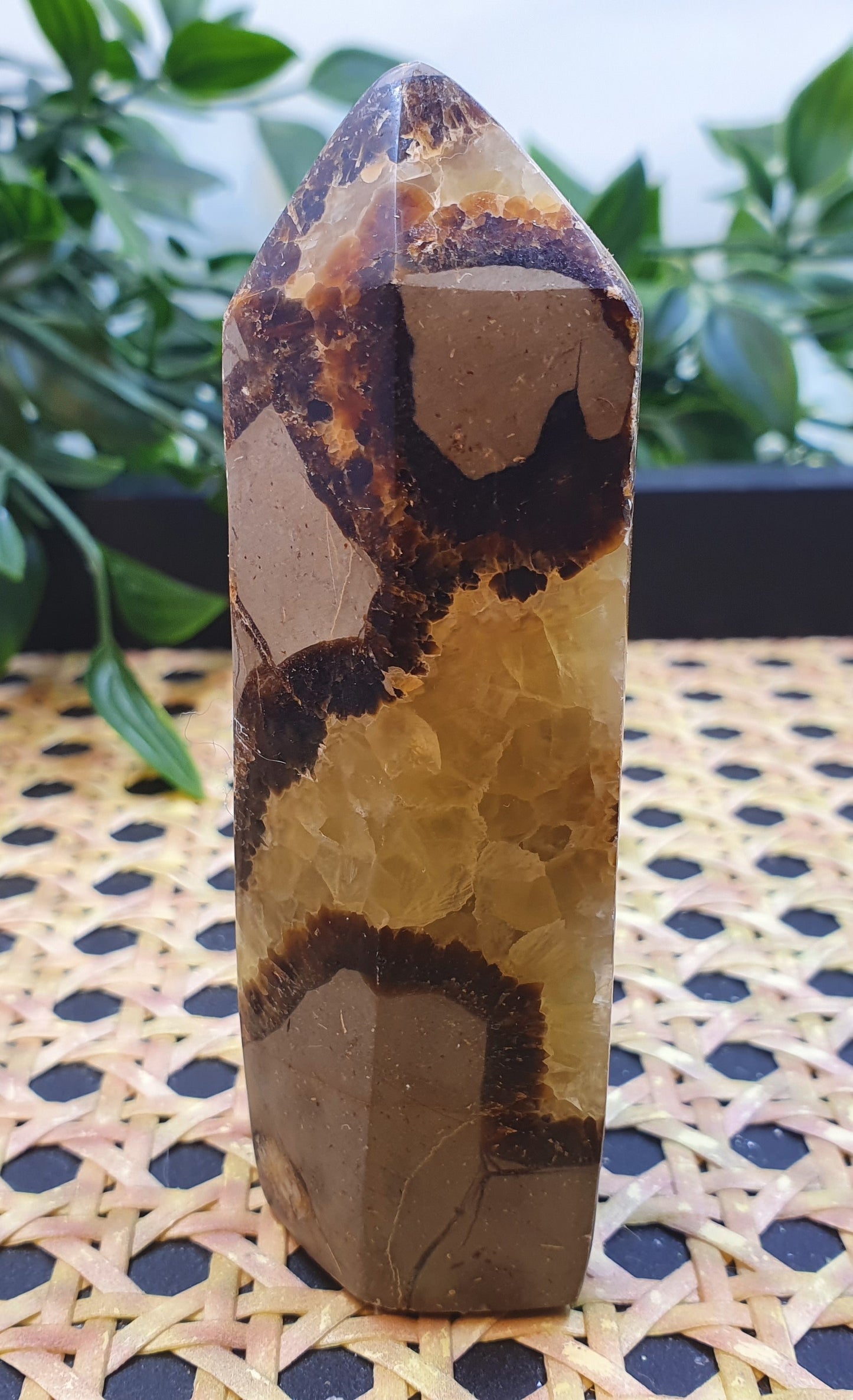 Septarian Points #1