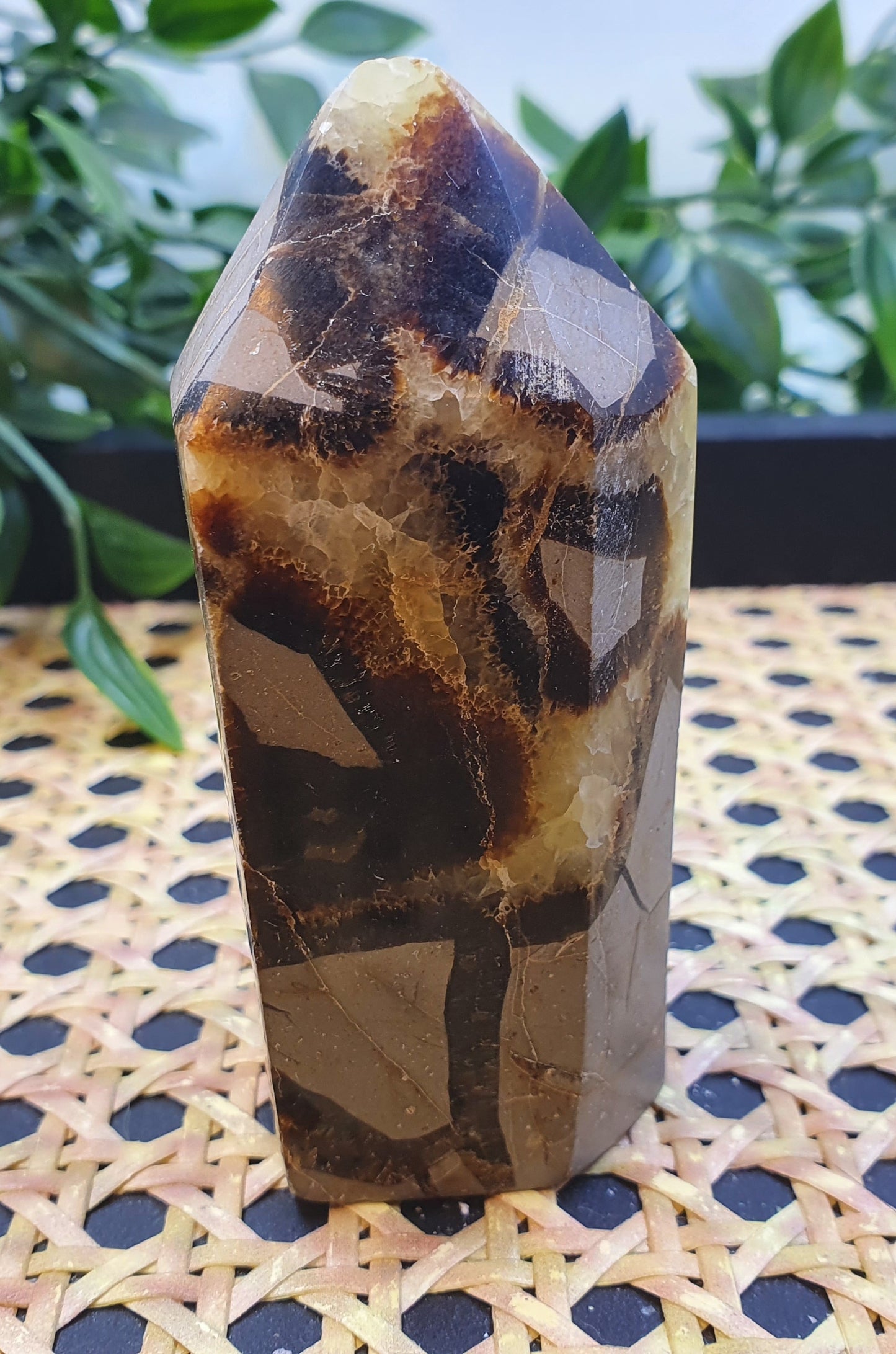 Septarian Points #1