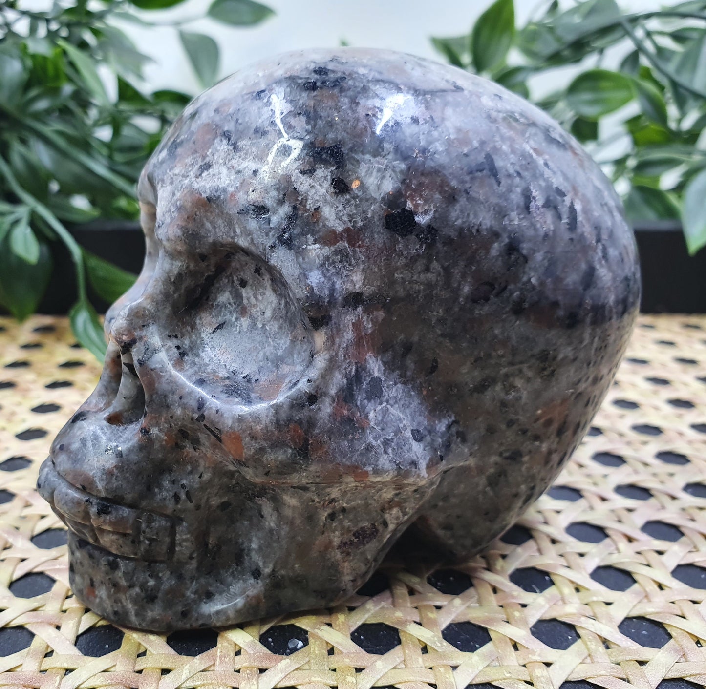 Yooperlite Skull