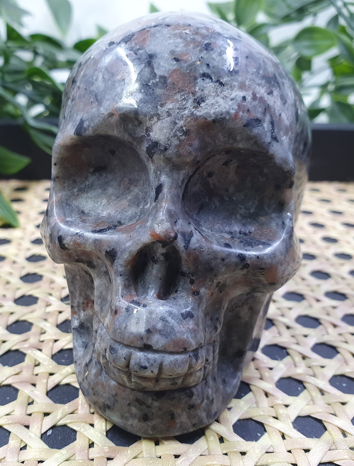 Yooperlite Skull