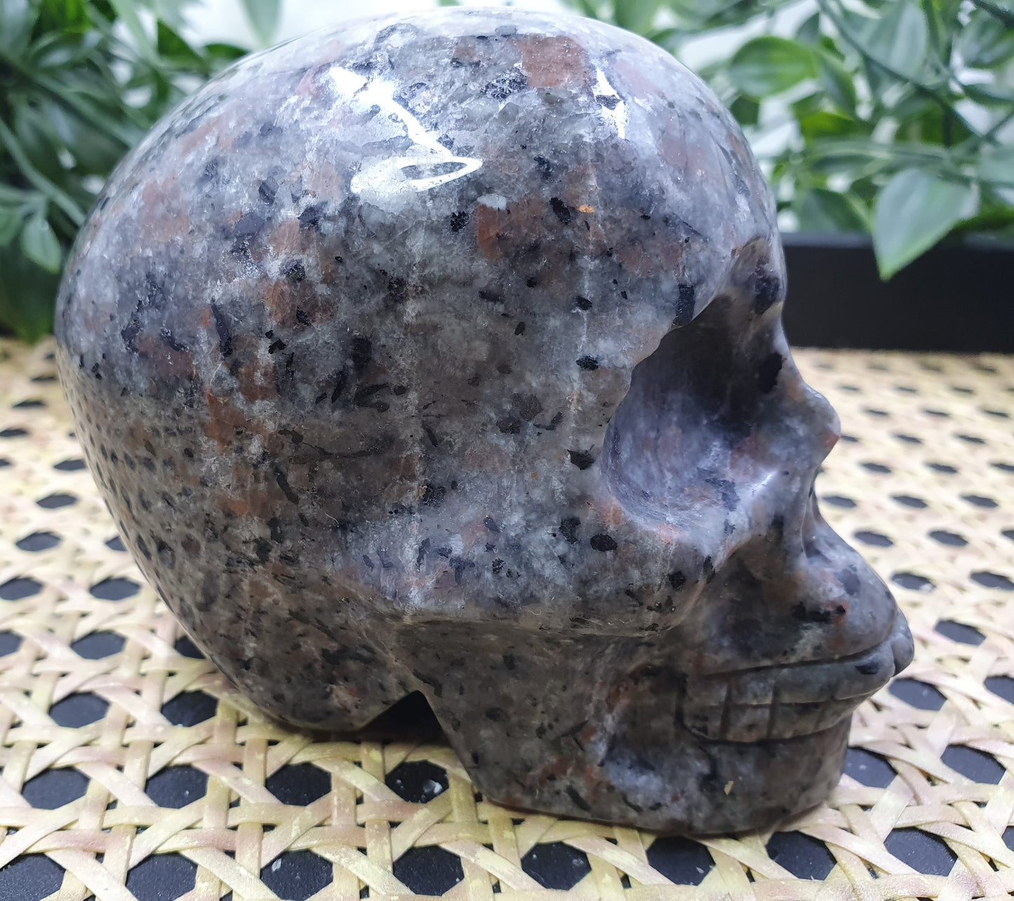 Yooperlite Skull