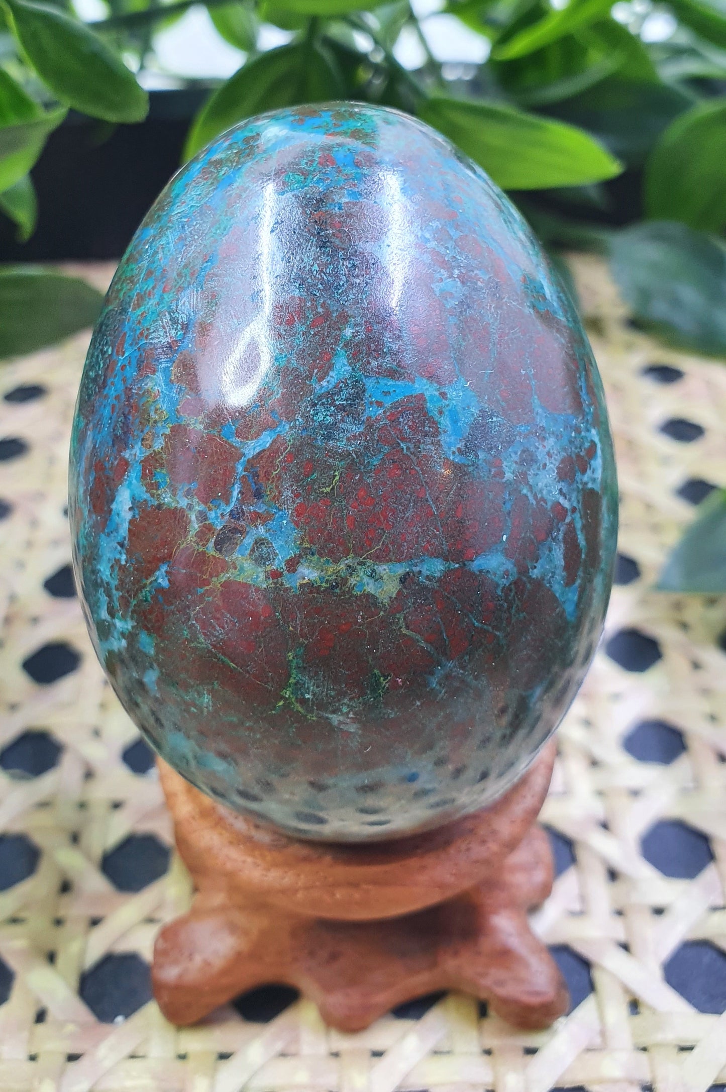 Chrysocolla Egg