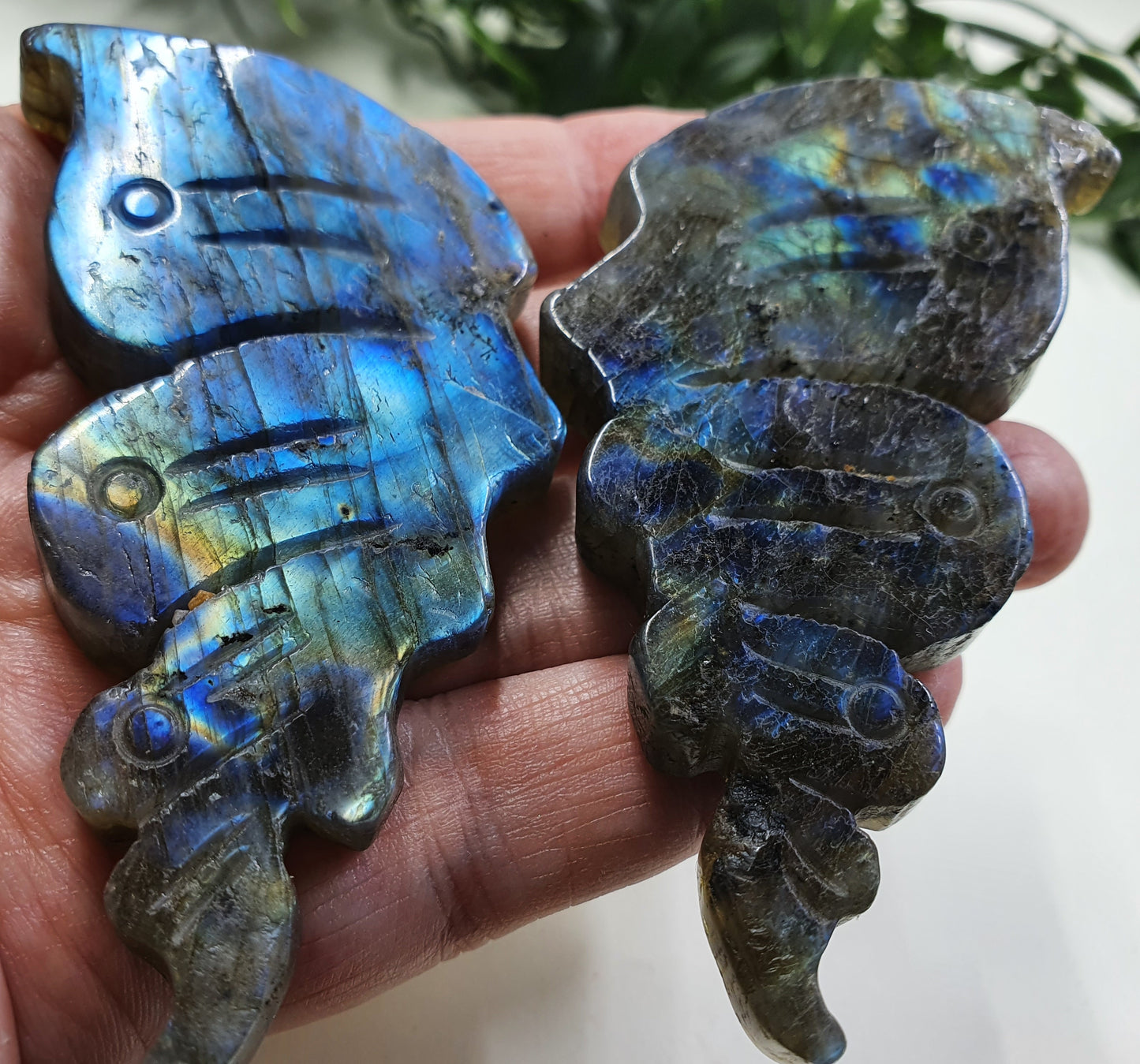 Labradorite Butterfly Wings #2