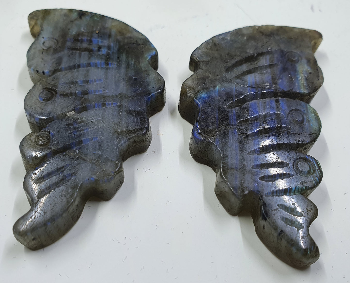 Labradorite Butterfly Wings #1