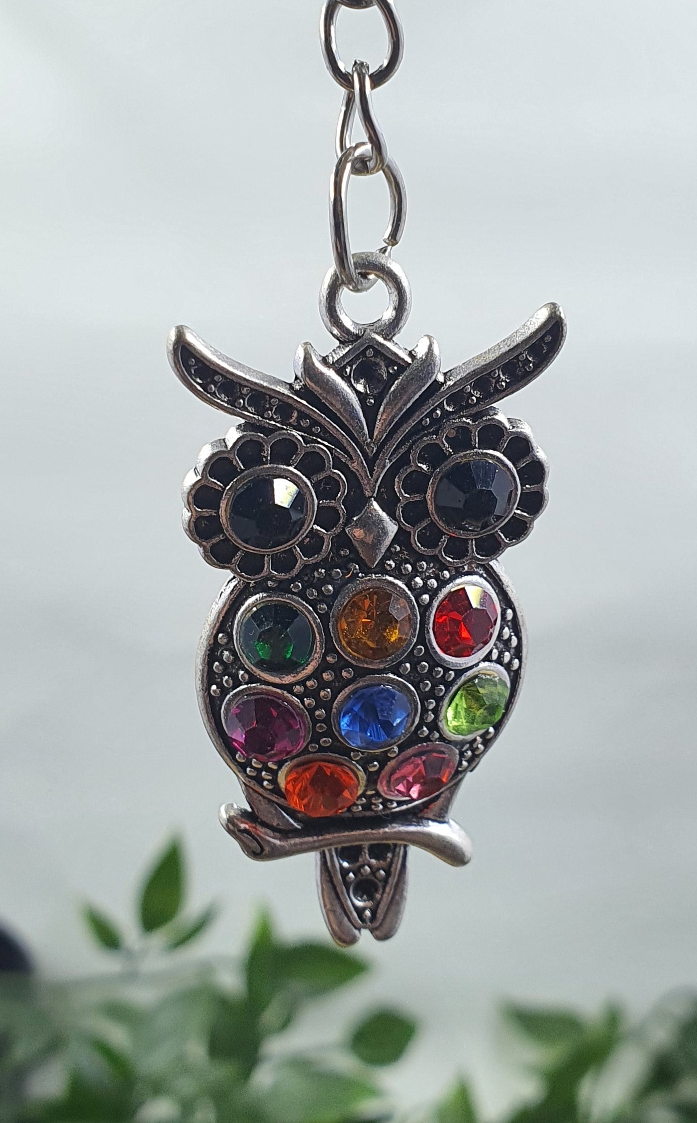 Color Owl Keychains