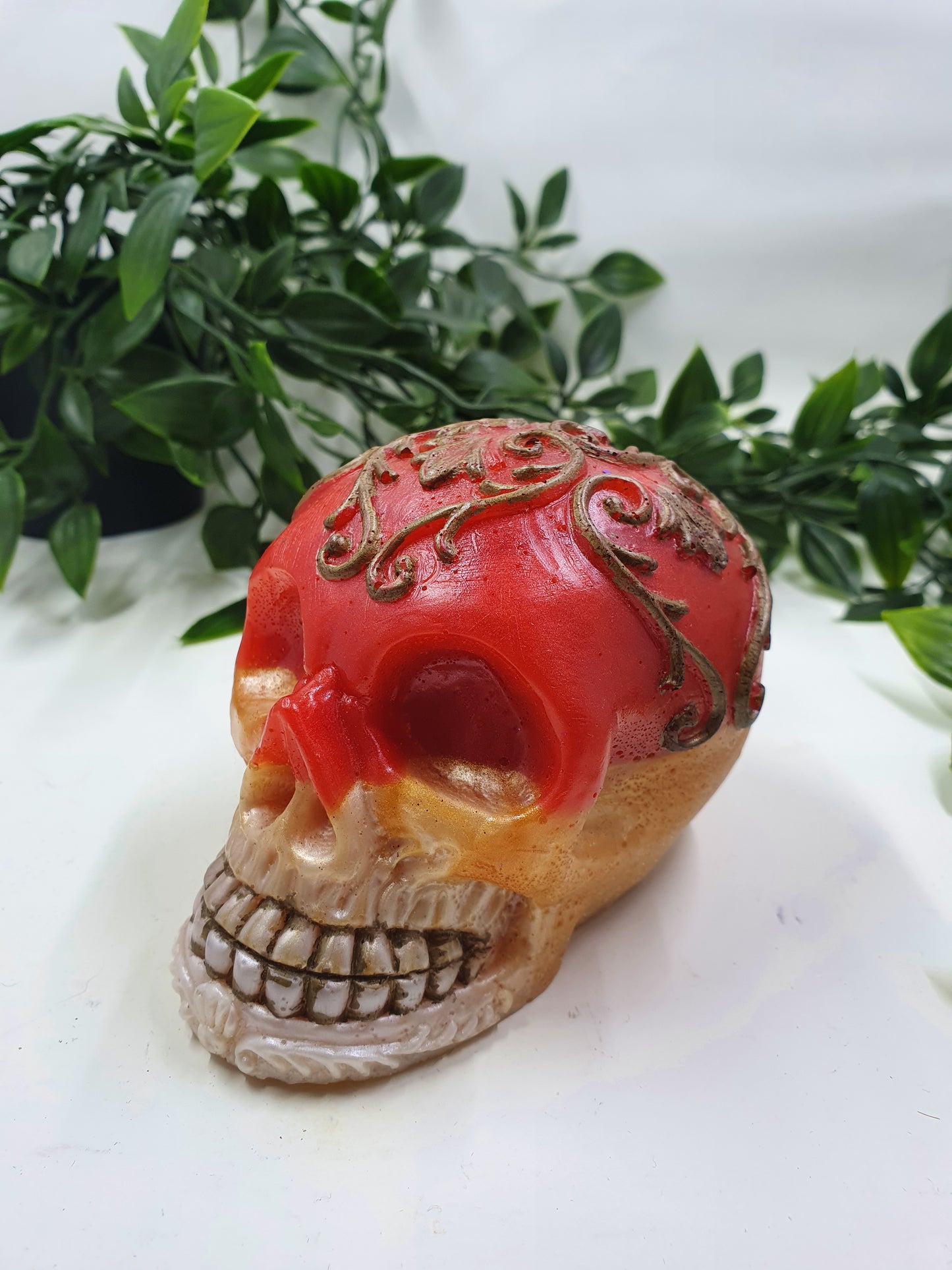 Resin Skull #1