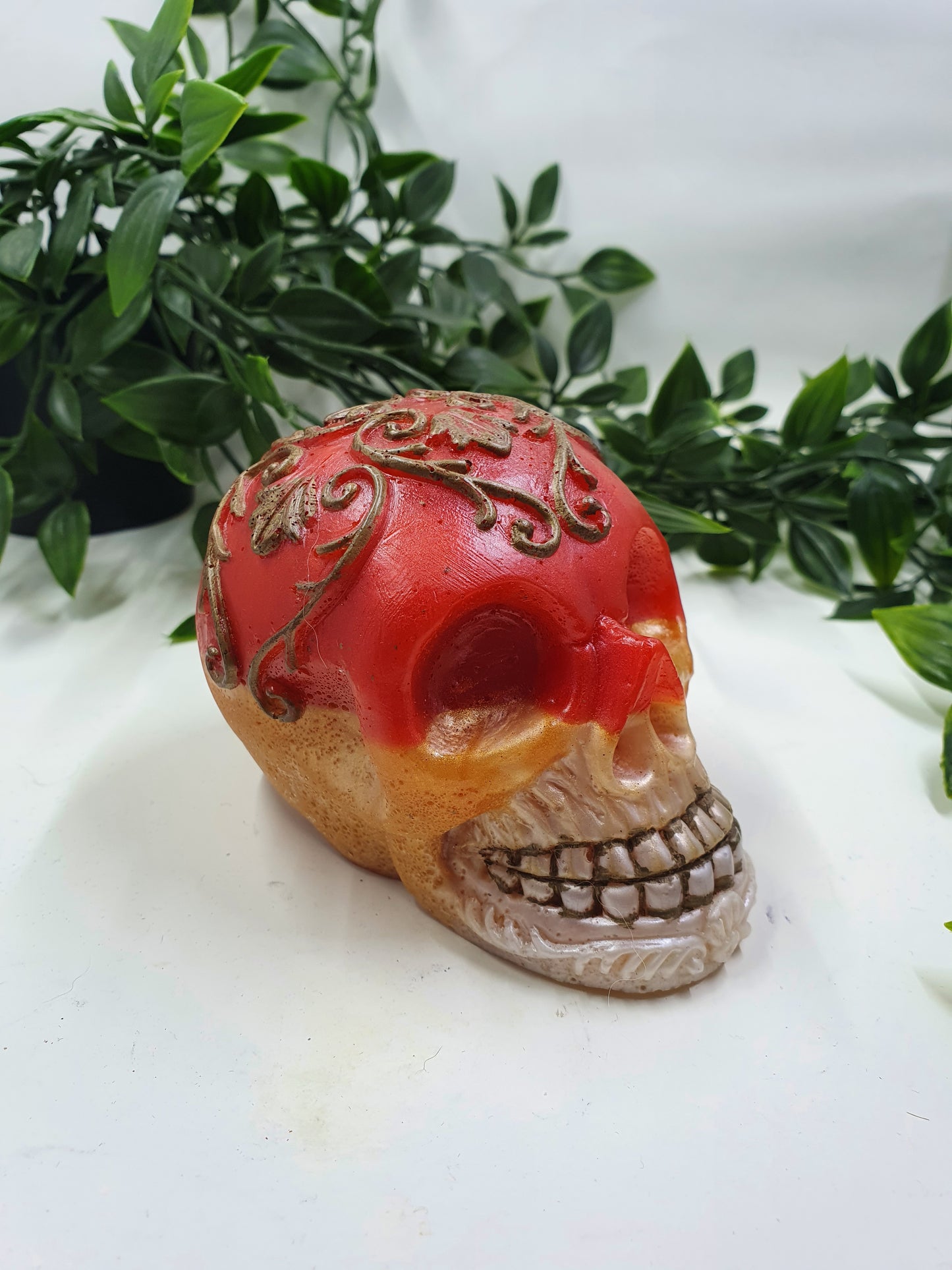 Resin Skull #1