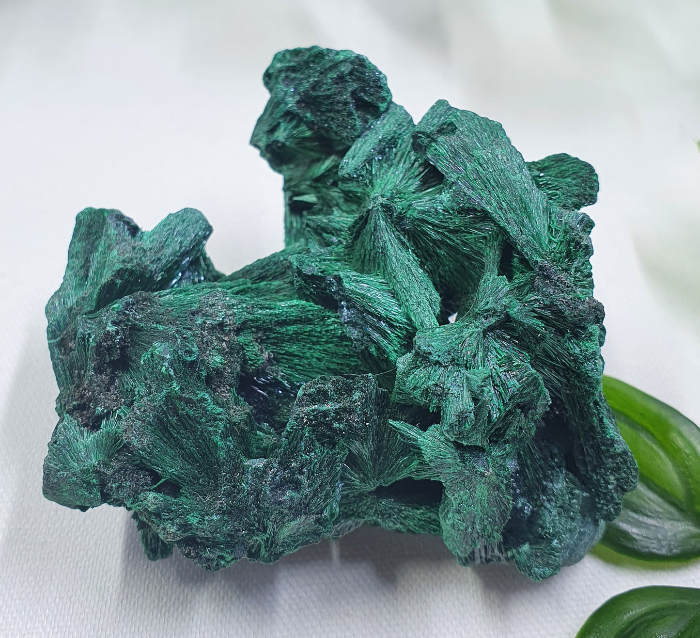 Velvet Malachite Specimen #1