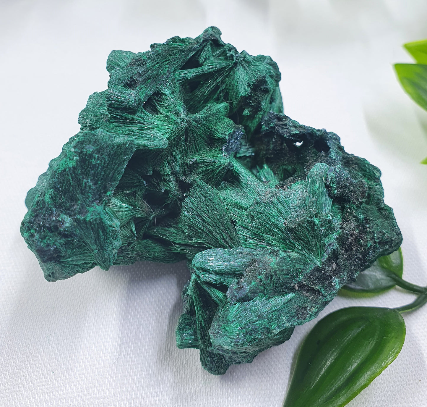 Velvet Malachite Specimen #1