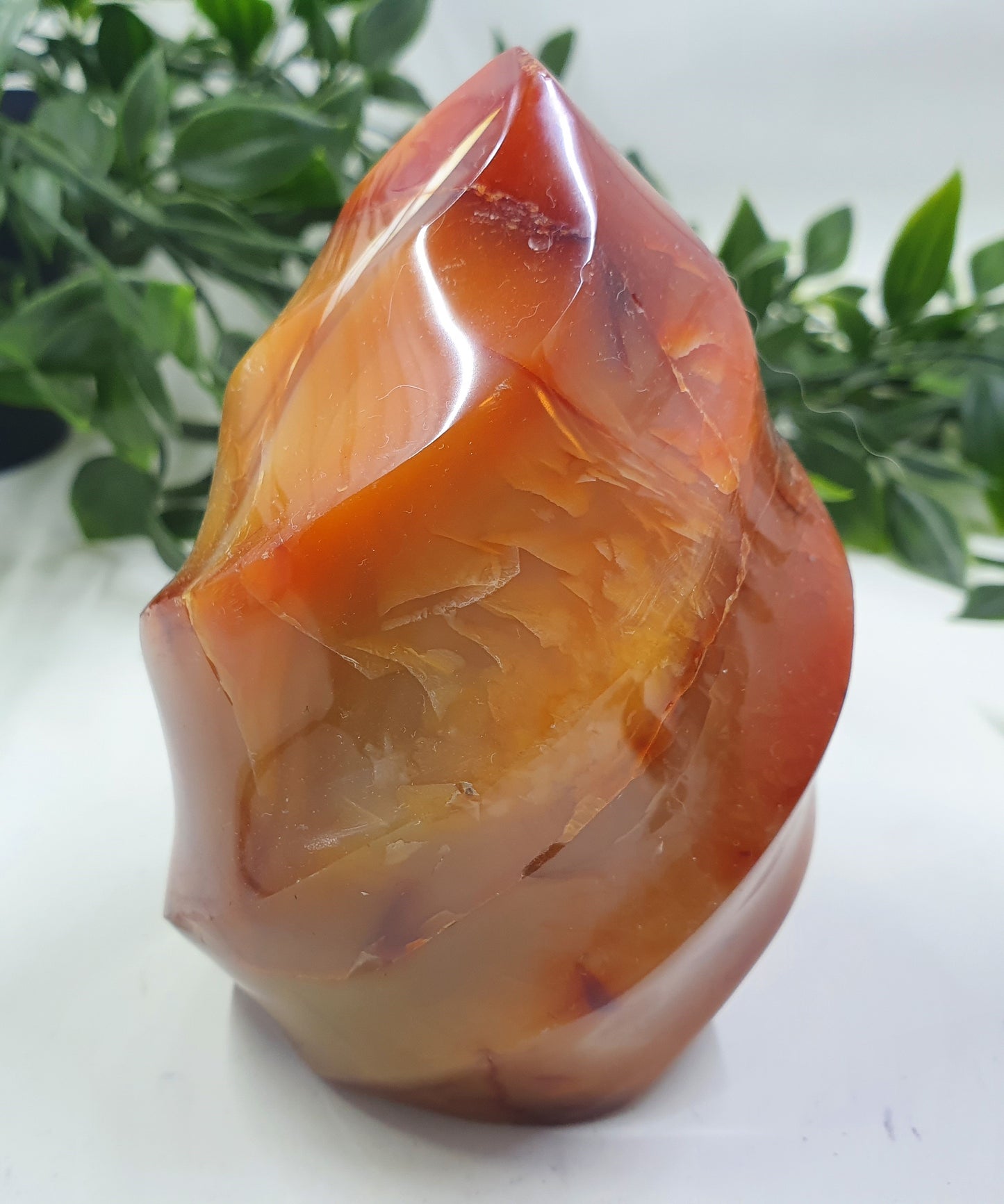 Carnelian Flame #2