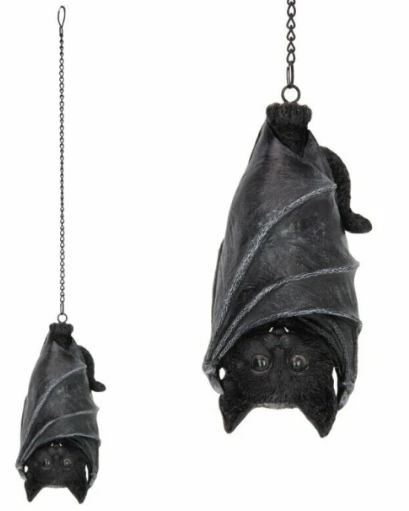 Hanging Vampire Bat