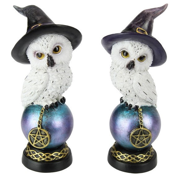 Owl with Witch Hat on Celtic Ball