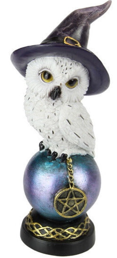 Owl with Witch Hat on Celtic Ball