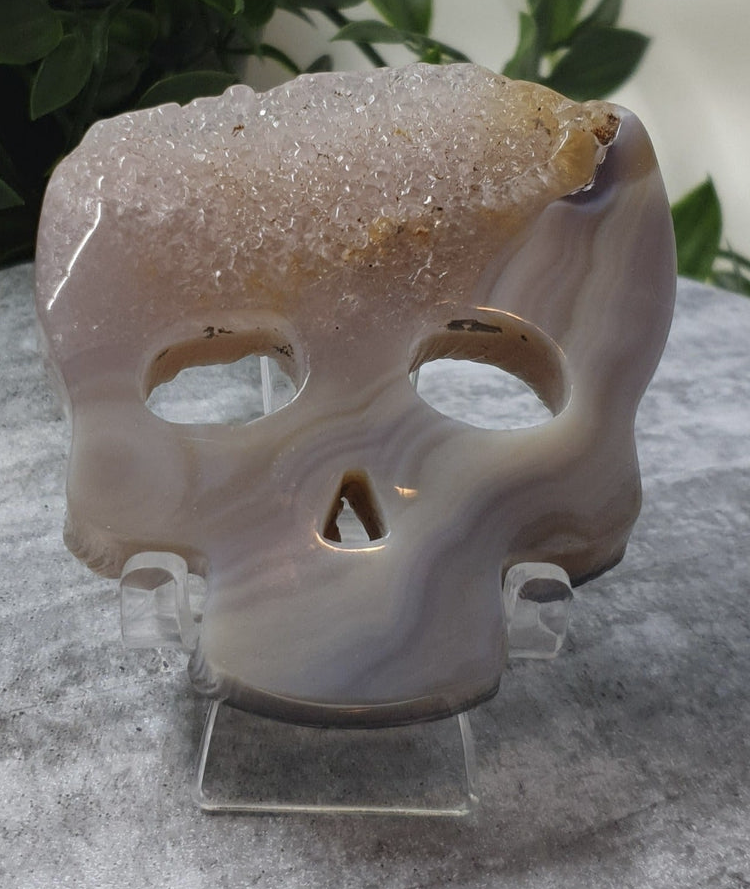 Druzy Skull #1