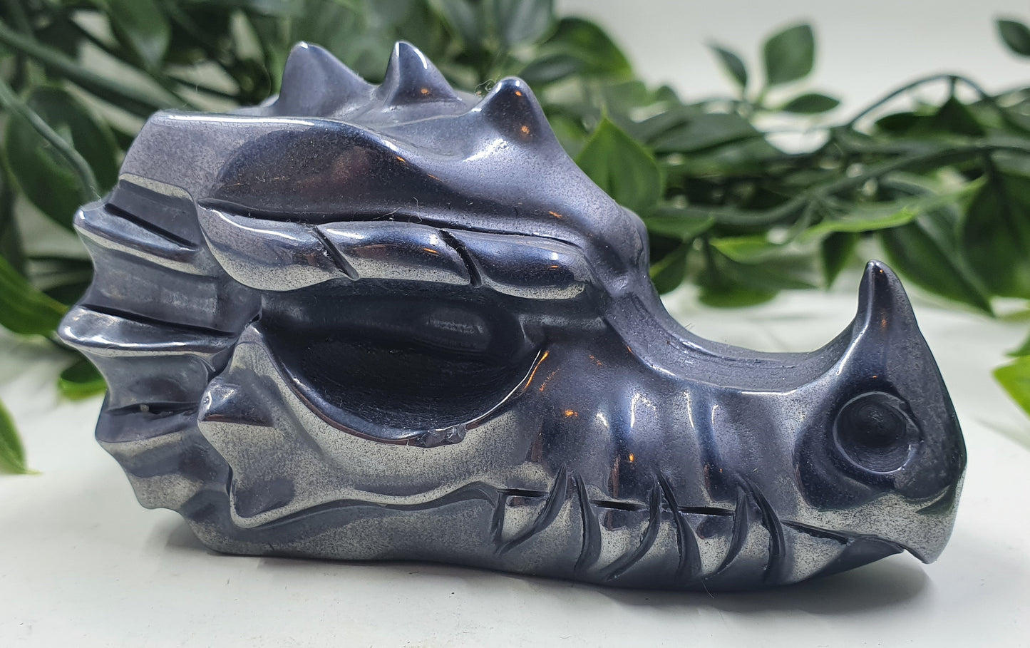 Shungite Dragon Skull