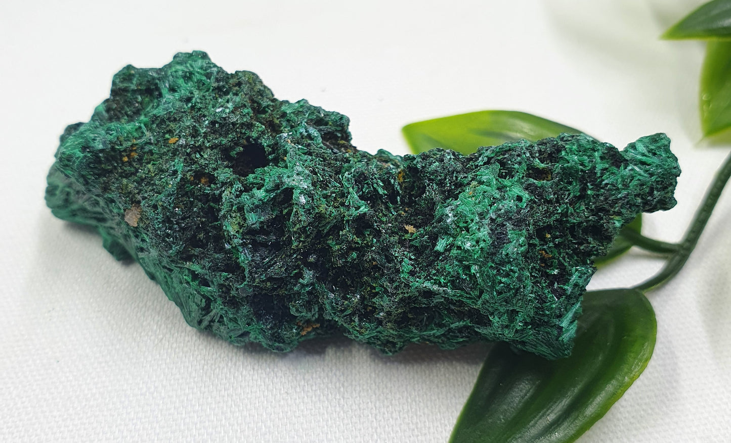 Velvet Malachite Specimen #2