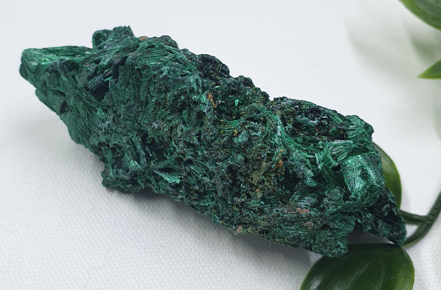 Velvet Malachite Specimen #2