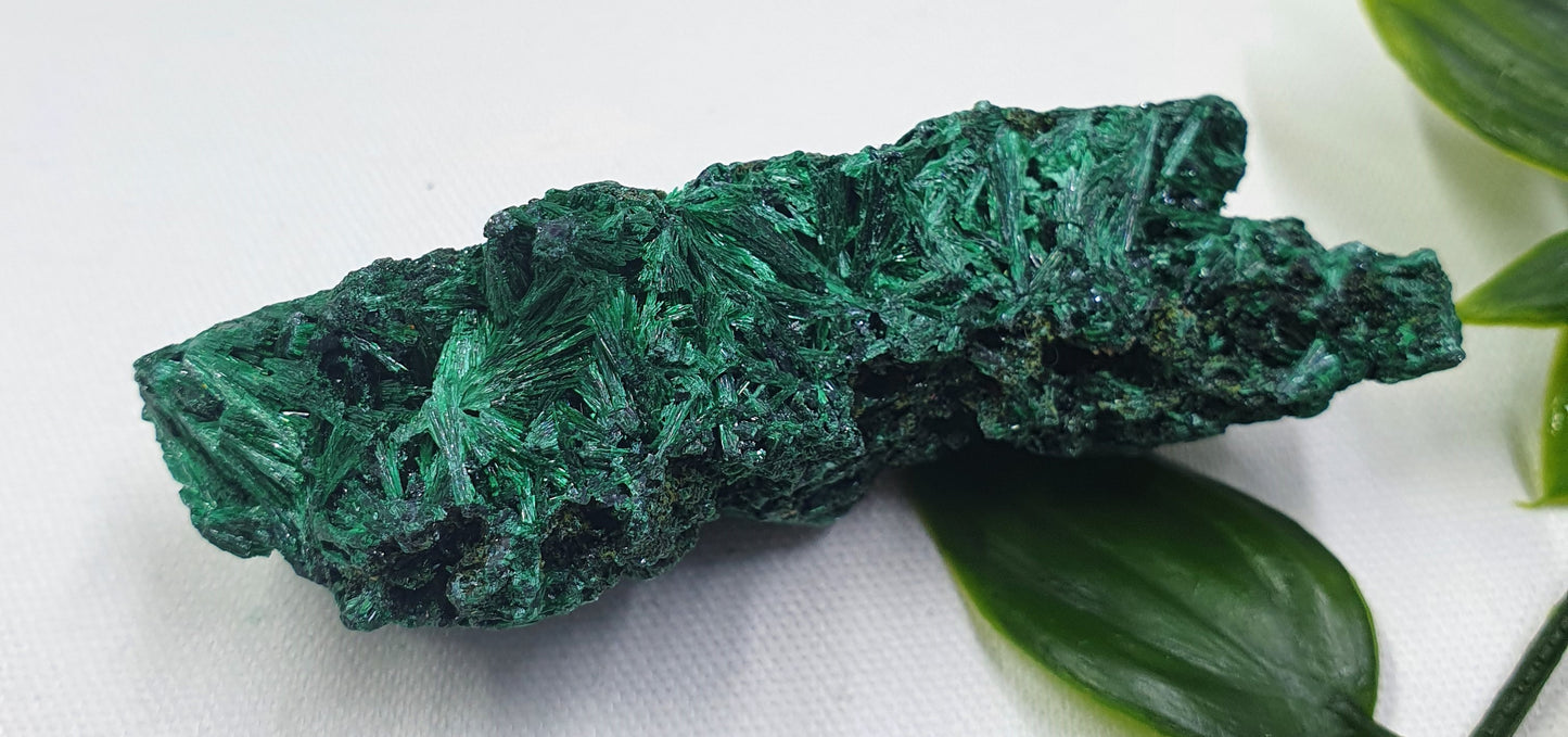 Velvet Malachite Specimen #2