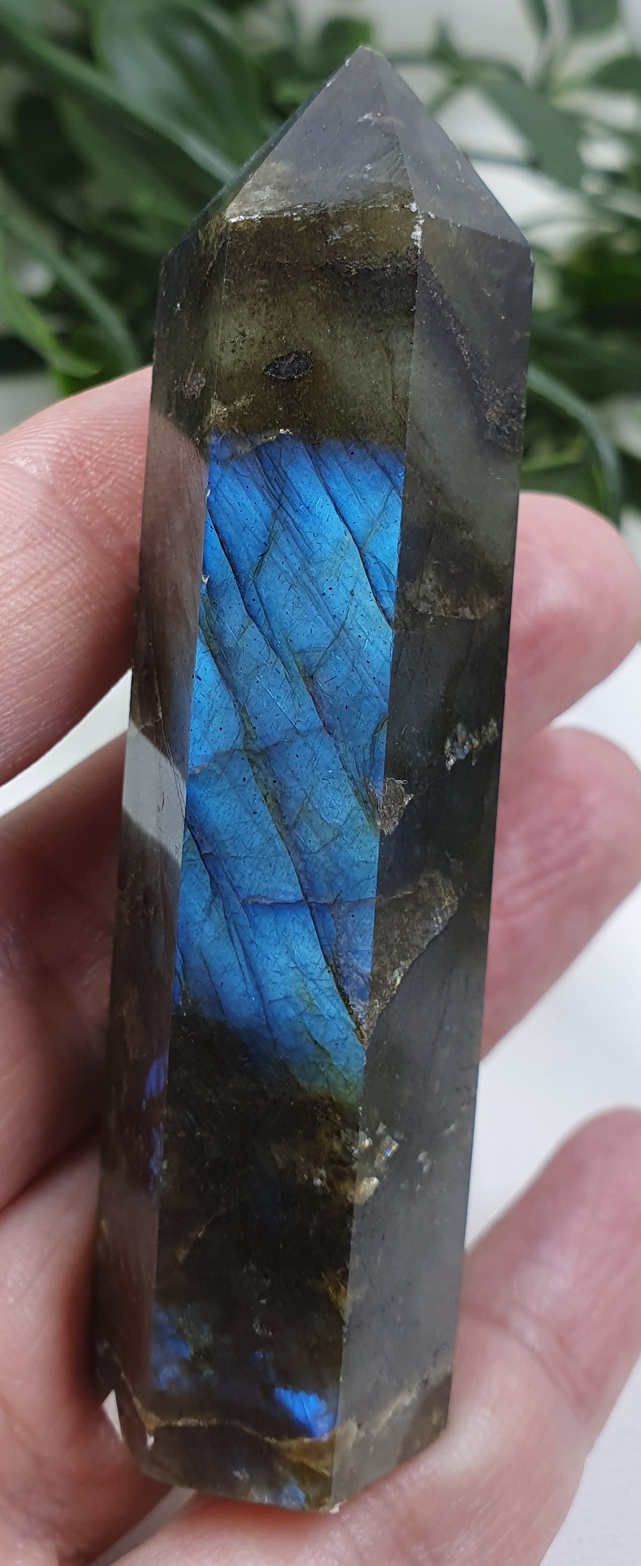 Labradorite Points #1