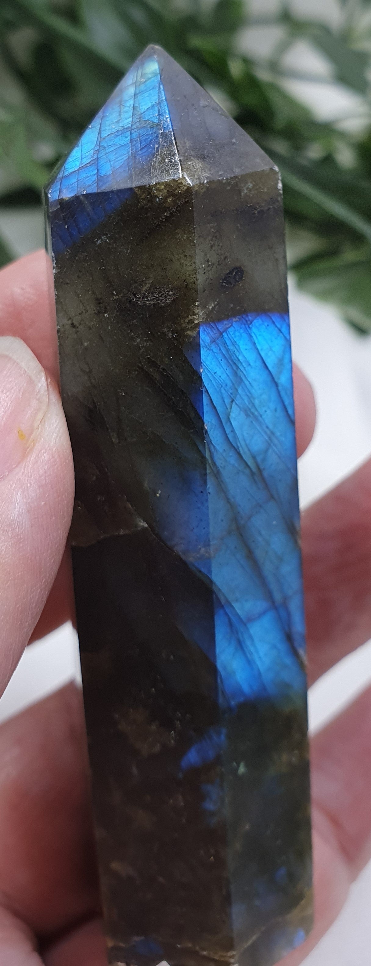 Labradorite Points #1