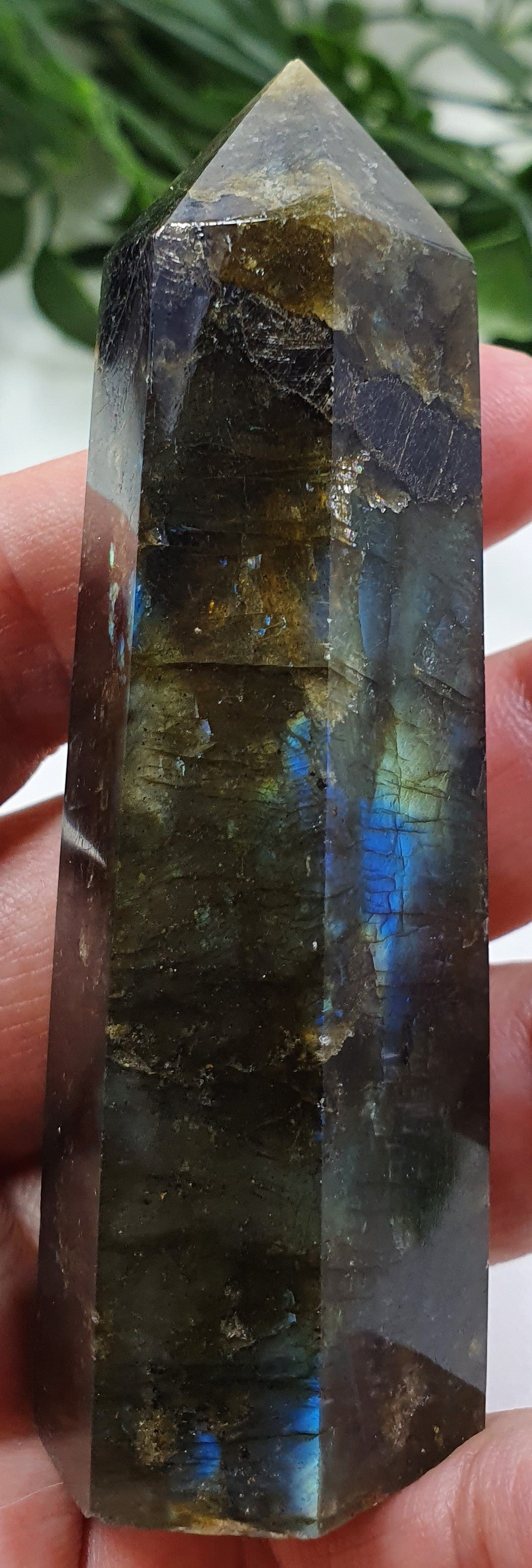 Labradorite Points #3