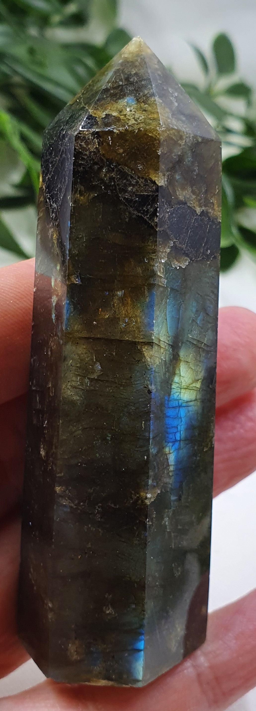 Labradorite Points #3