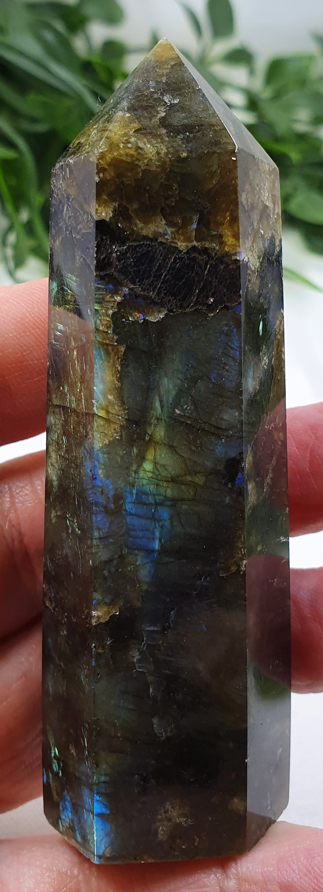 Labradorite Points #3