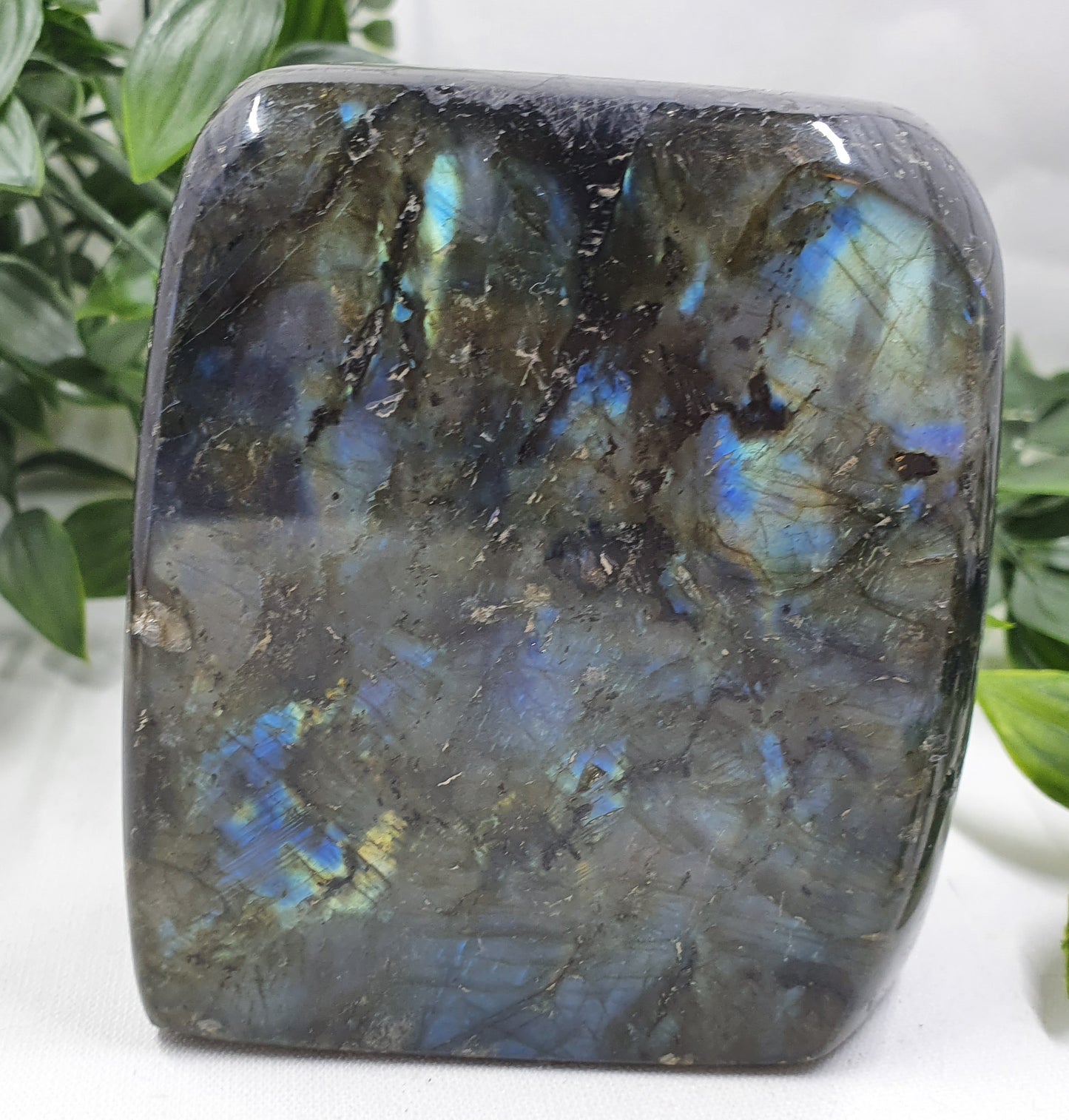 Labradorite Freeform #1