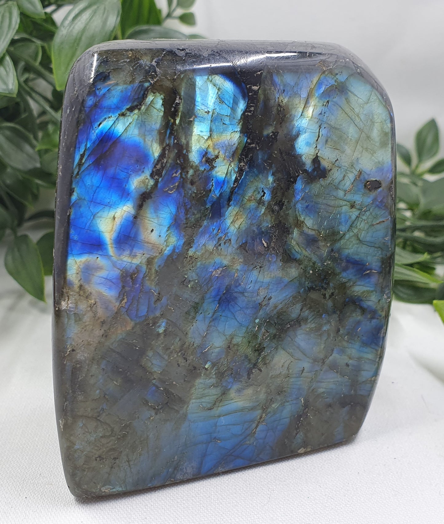 Labradorite Freeform #1