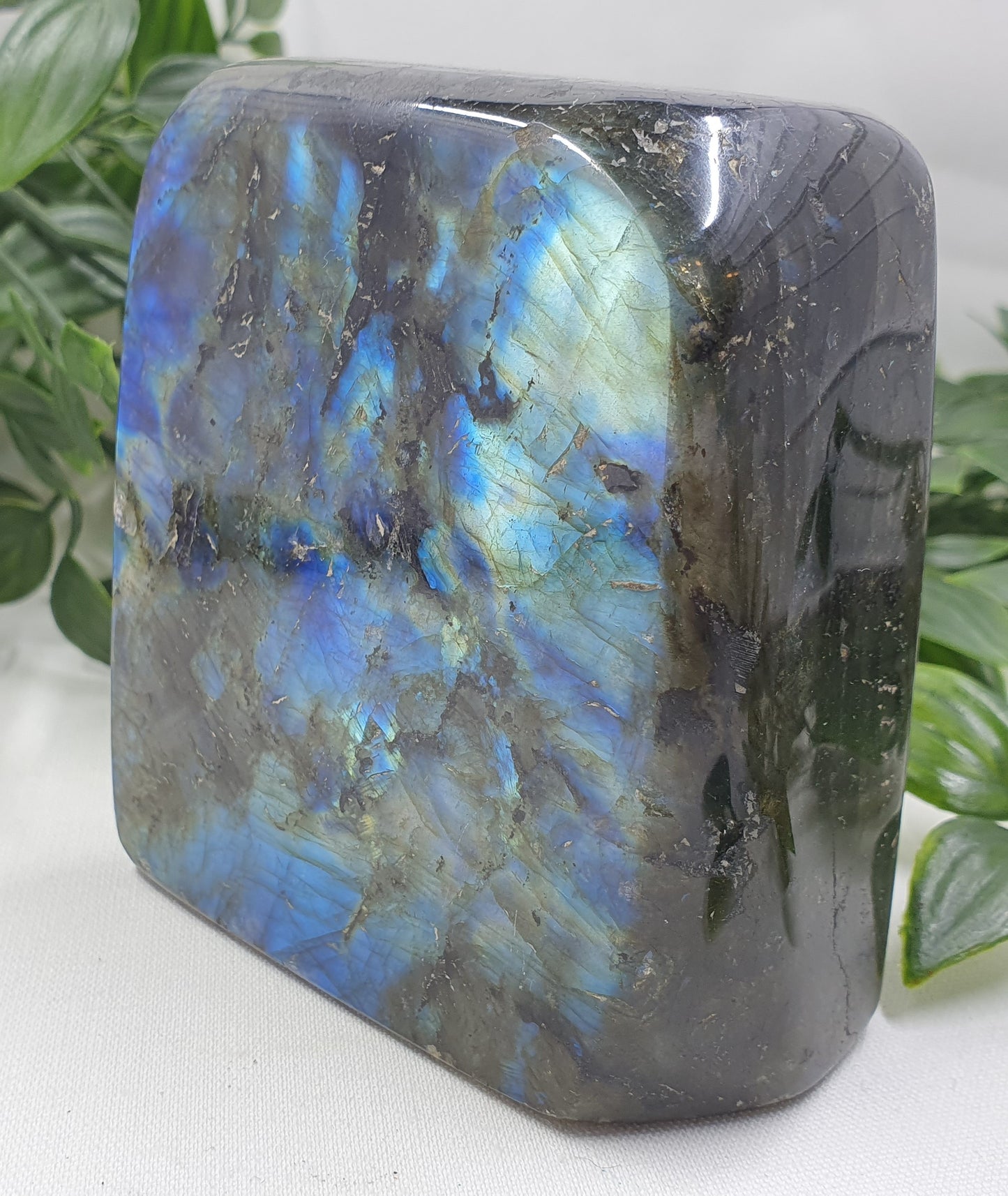 Labradorite Freeform #1