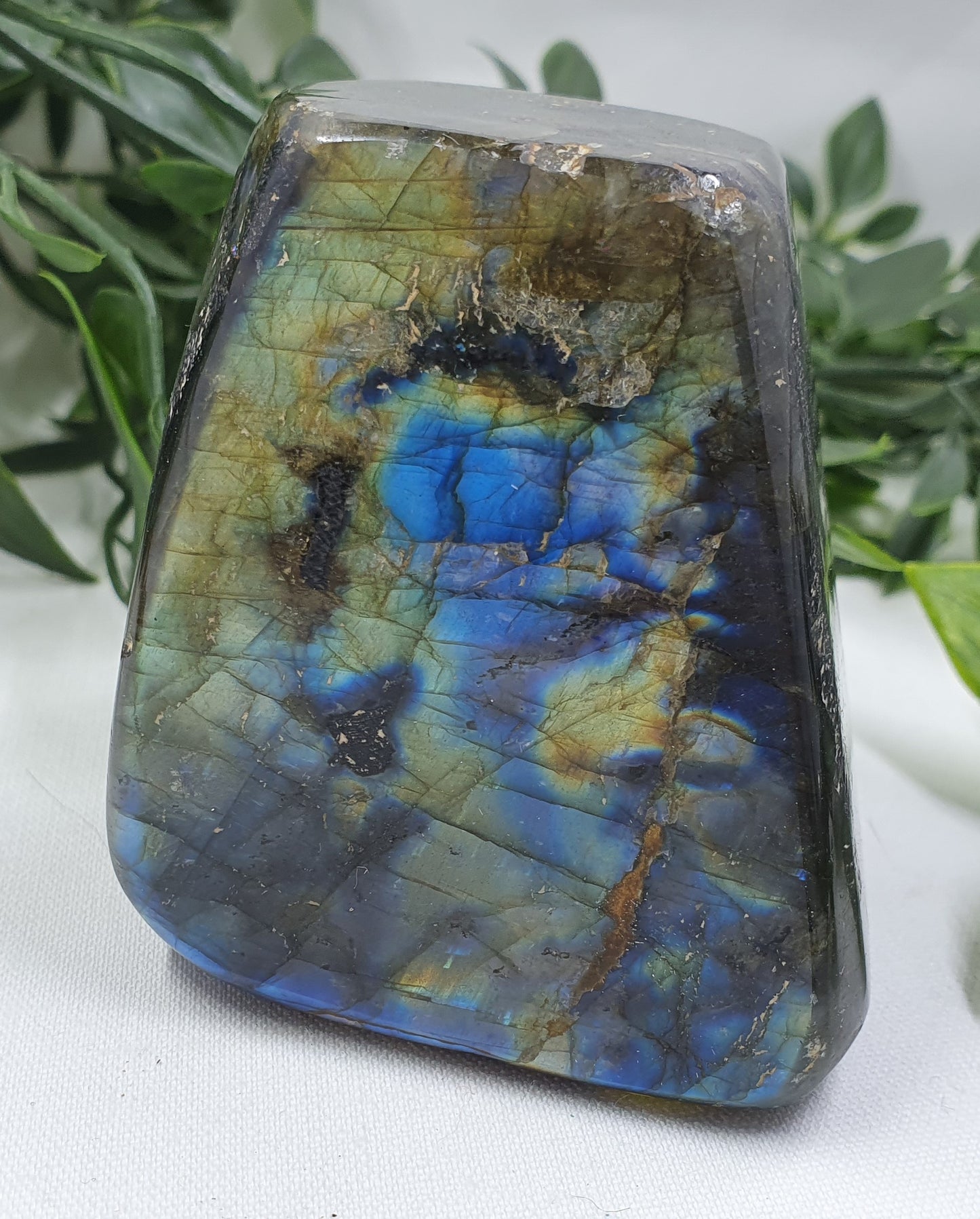 Labradorite Freeform #2