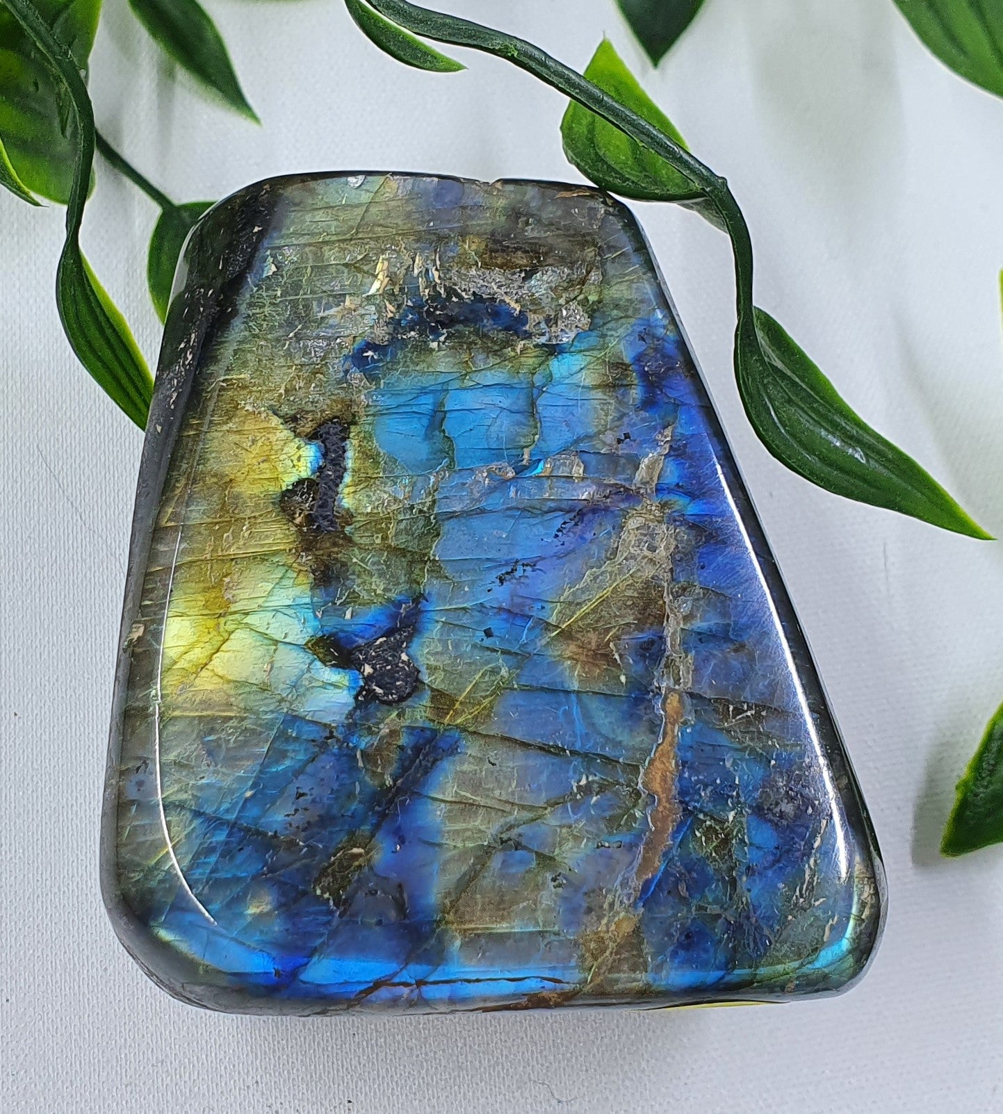 Labradorite Freeform #2