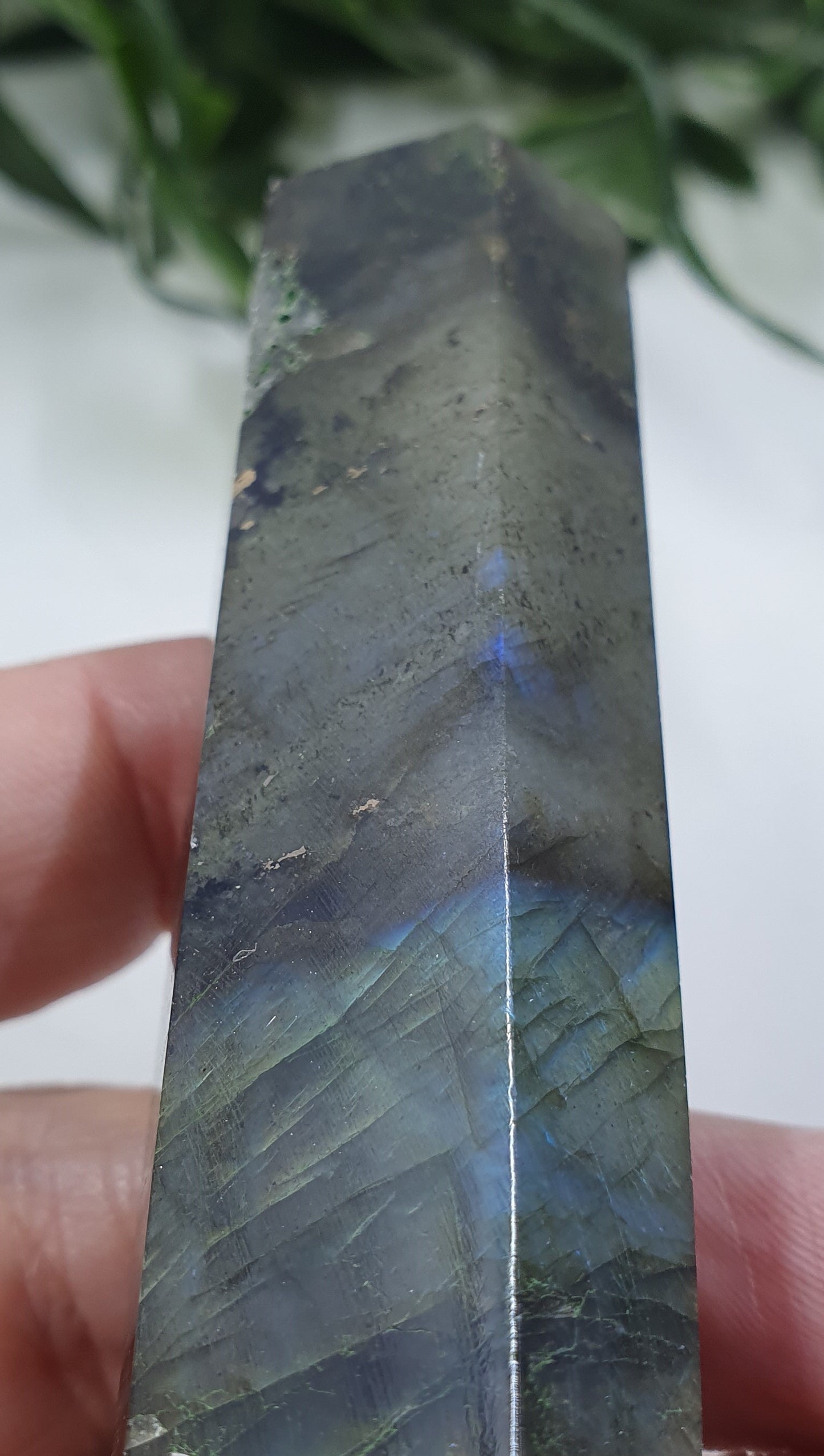 Labradorite Points #4