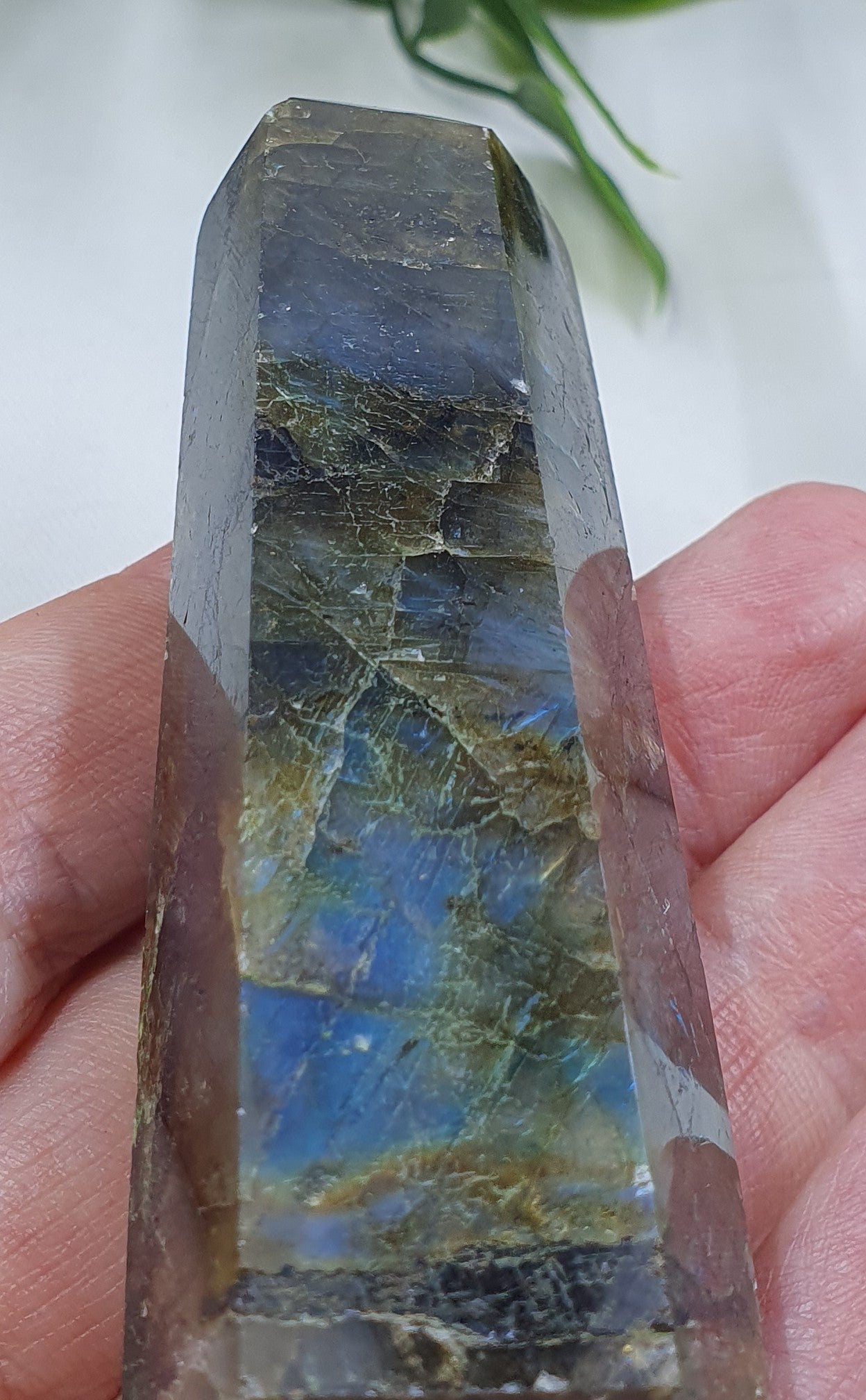 Labradorite Points #5