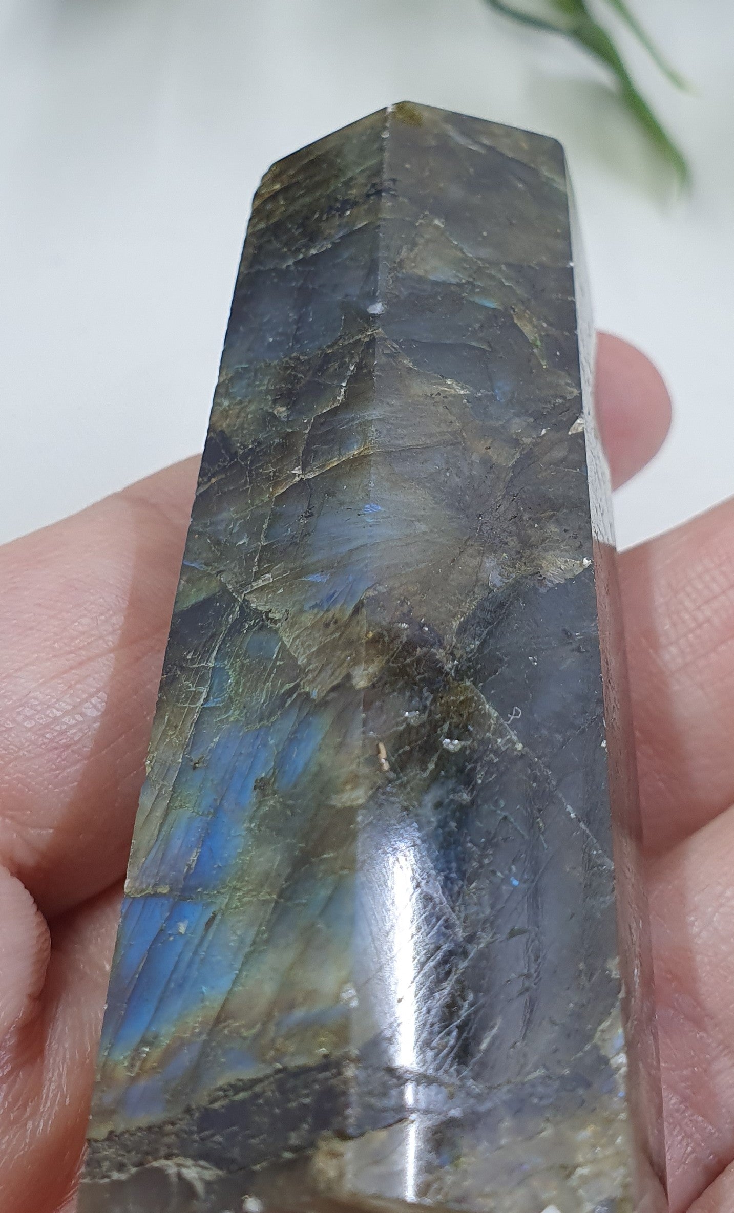 Labradorite Points #5