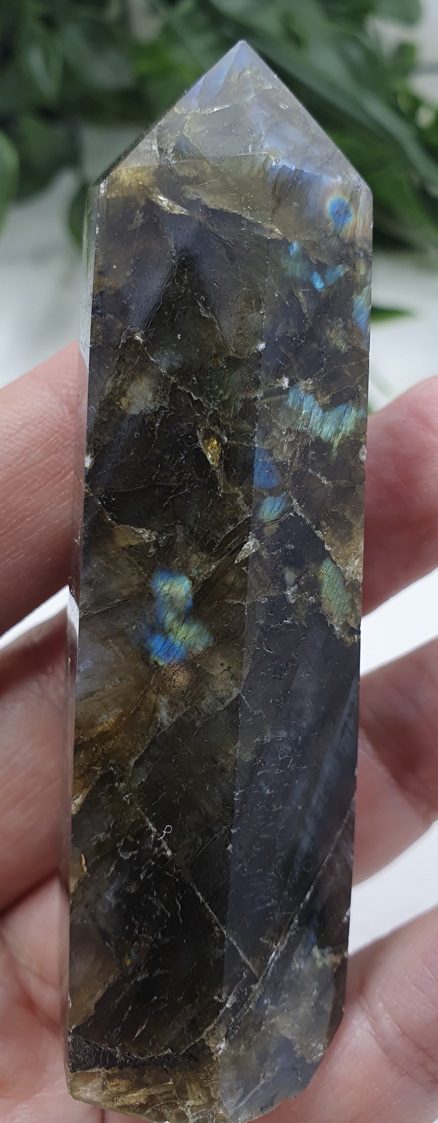 Labradorite Points #5