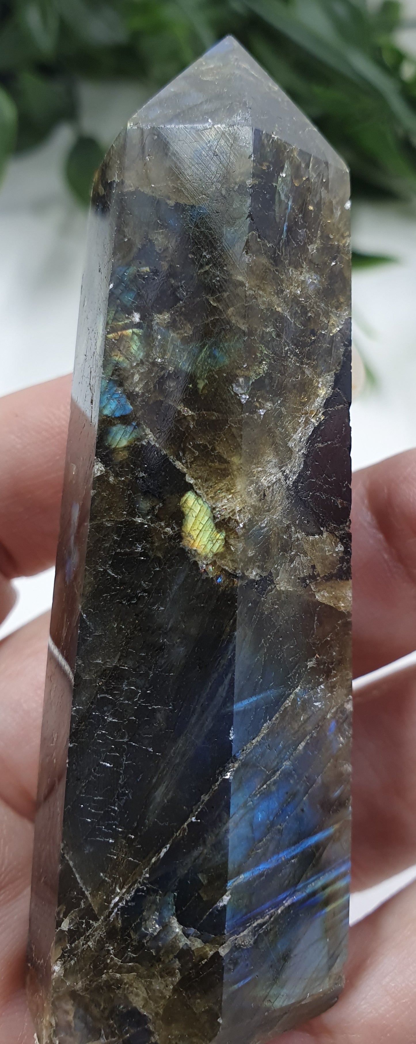 Labradorite Points #5