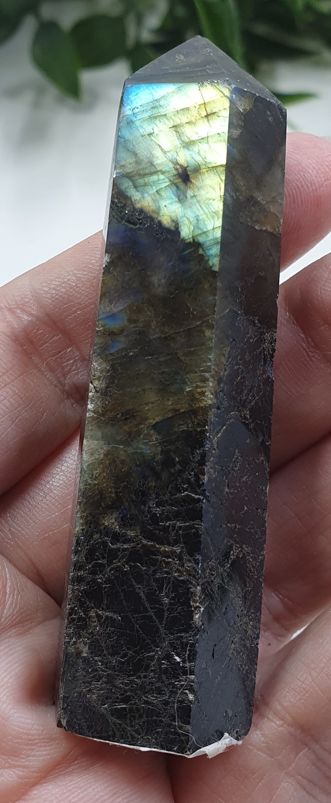 Labradorite Points #6