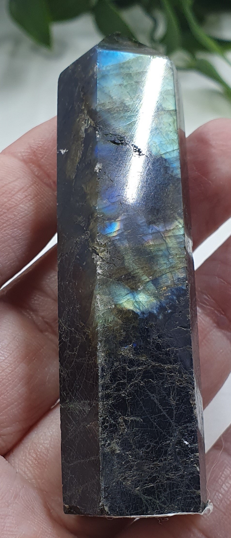 Labradorite Points #6