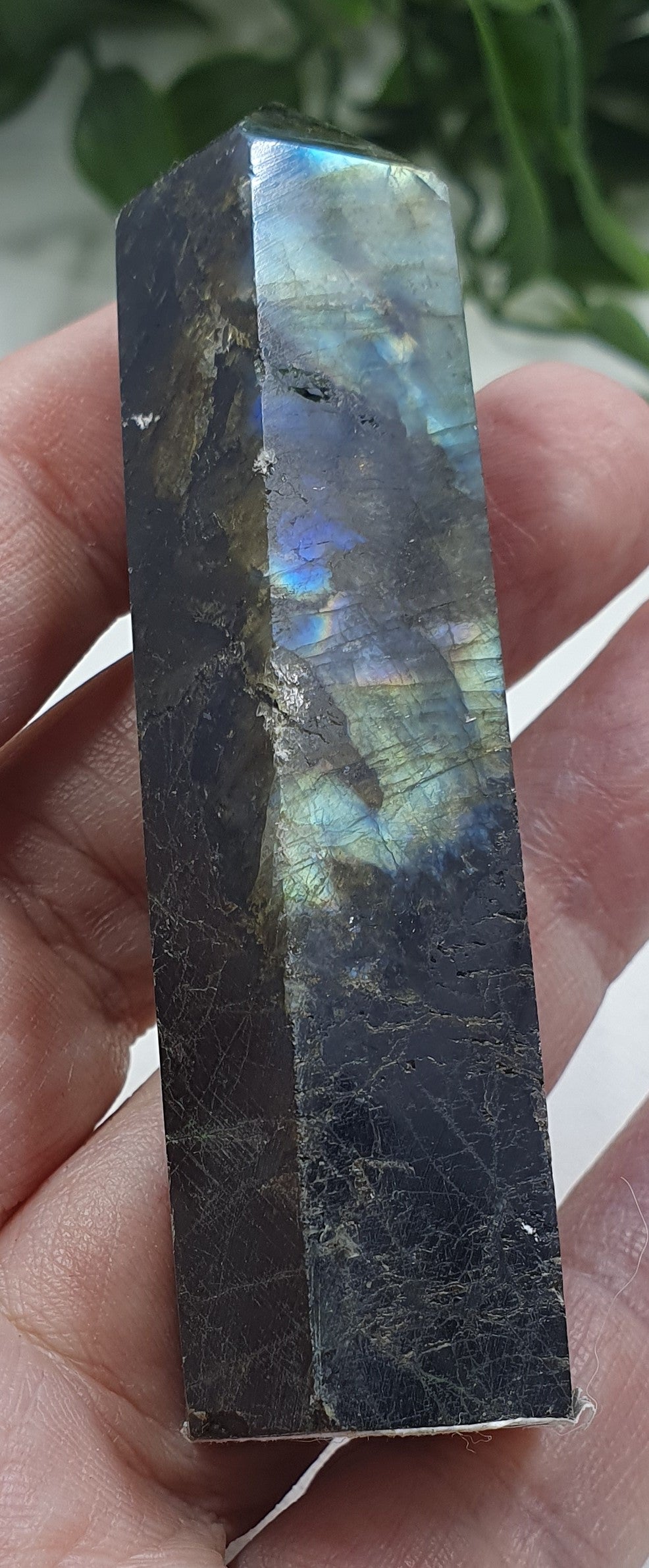 Labradorite Points #6