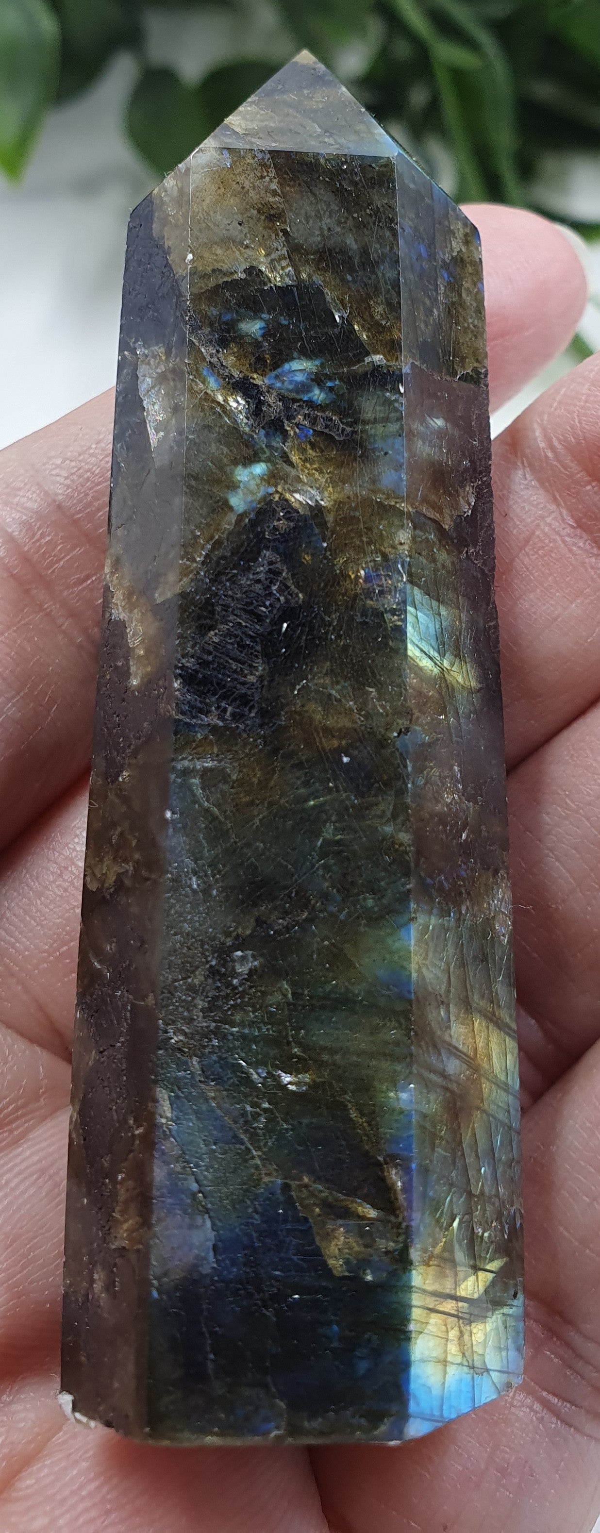 Labradorite Points #8