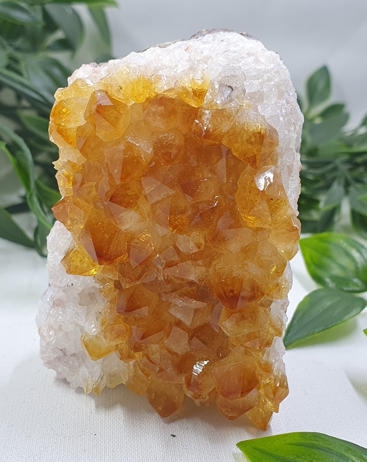 Citrine Cluster #1